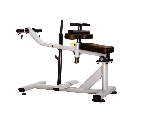 Seated Calf Machine