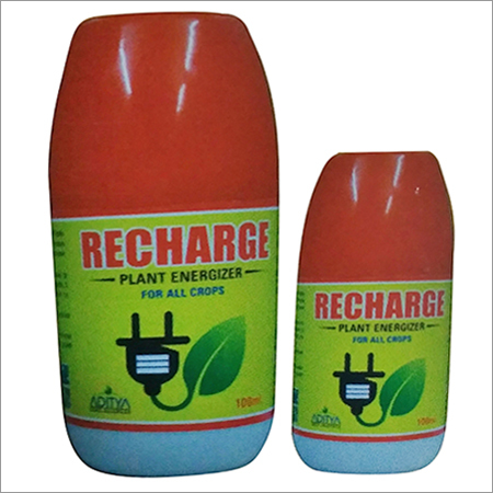 Recharge Plant Energizer
