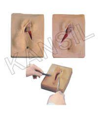 Vulva Suturing Training Simulator Model