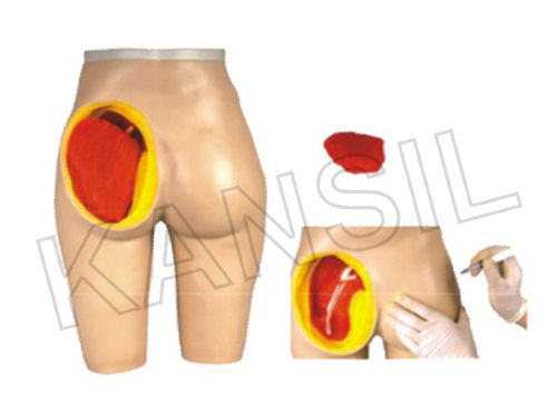 Intramuscular Injection Training Manikin