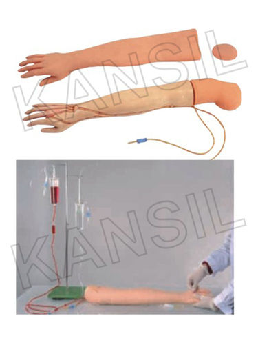 Multi Functional I.V.Training Arm Model