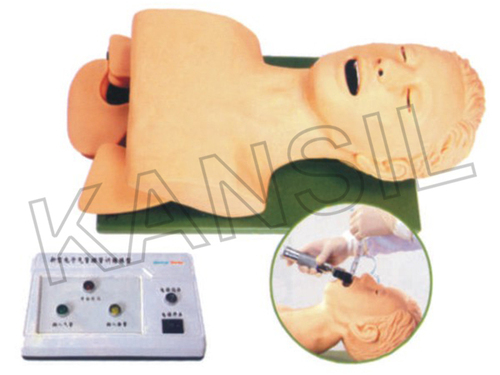 Airway Intubation Model