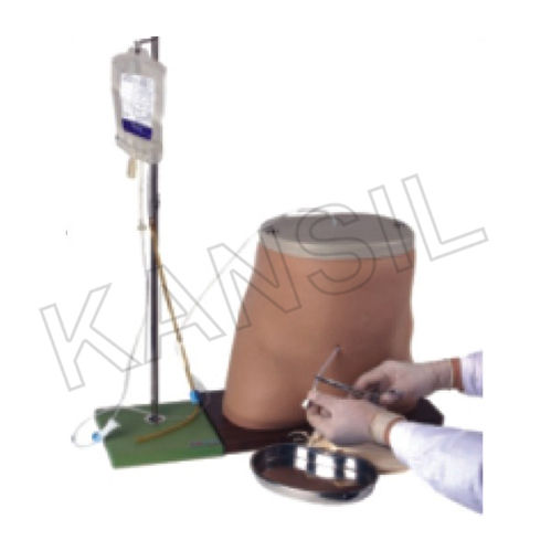 Peritoneal Dialysis Simulator Model