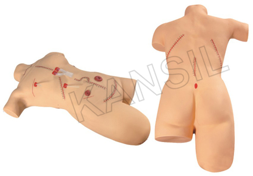 Surgical Suturing and Bandaging Simulator Model By N. C. KANSIL & SONS