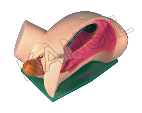 Leopold Maneuvers Simulator Model