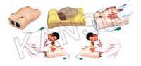 Maternity Examination Model