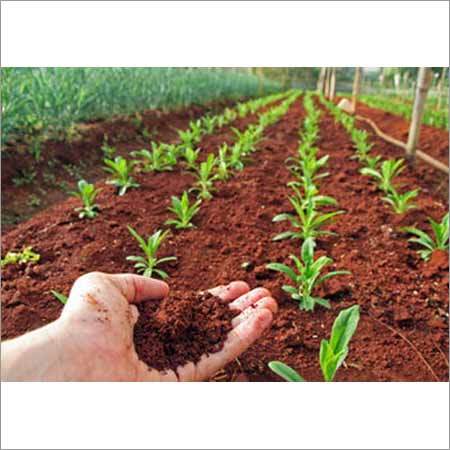 Soil Testing Services