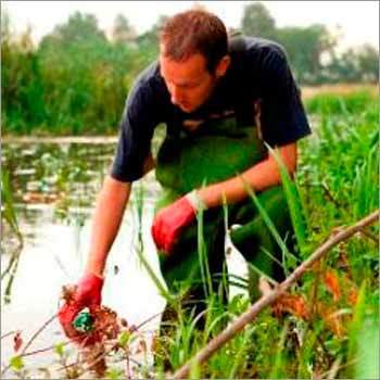Pond Water Testing Services