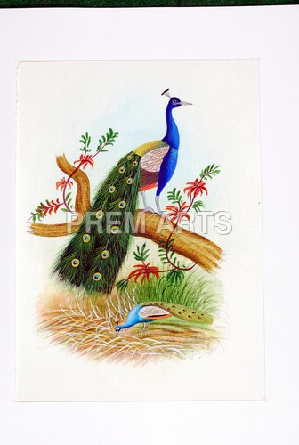 Peacock Painting On Clothe Medium: Water Color