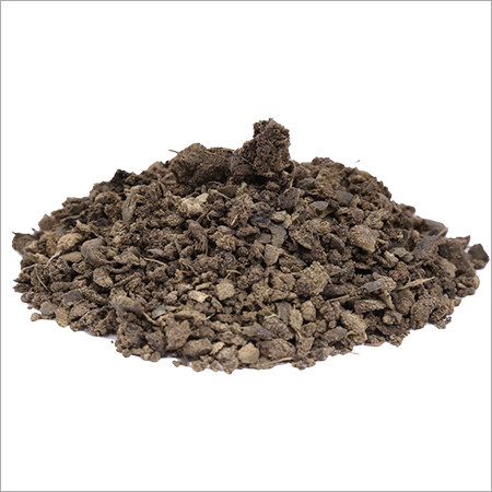 Bibhitaki Fruits - Dehydrated Seedless Ovoid Drupes, Herbal Remedies for Digestive Health and Detoxification