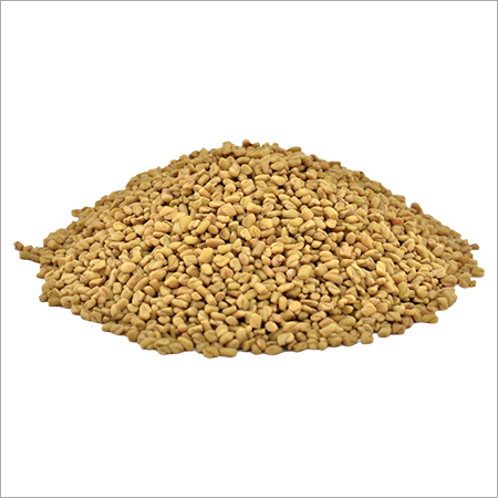 Fenugreek Seeds - Herbal Culinary Spice, Versatile Flavor Enhancer for Baked Goods, Traditional Use in Digestive Support and Lactation
