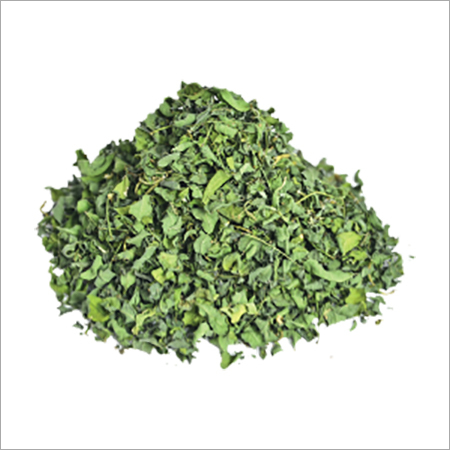 Indigo Leaves - Dried Leaf | Herbal Product for Hair Dyeing with Indigotin and Indoxyl Transformation