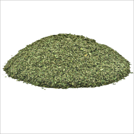 Moringa Leaves TBC - Dried Leaf Extract | Herbal Treatments for Holistic Wellbeing and Nutritional Support
