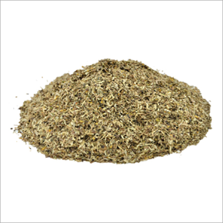 Senna Pods TBC - Dried Cassia Angustifolia Vahl Pods | Herbal Supplement for Natural Laxative Support, Enriched with Sennosides A & B
