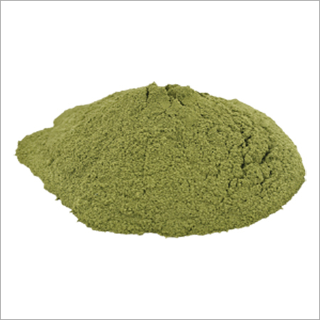Ziziphus Jujuba Powder - Dried Leaf Powder | High Therapeutic Value, Rich in Carbohydrates, Proteins, Amino Acids, and Flavonoids