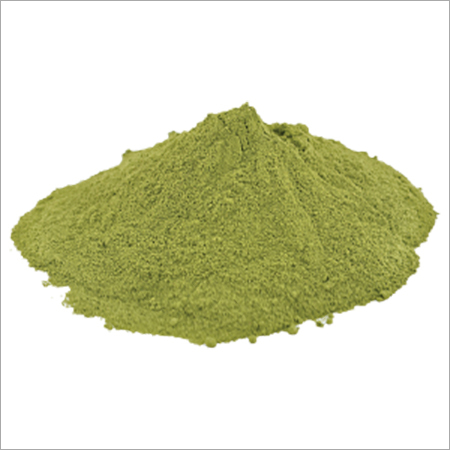 Ziziphus Spina Christi Leaf Powder - Dried Leaf Powder, Rich in Condensed Tannins and Glycosides for Herbal Applications