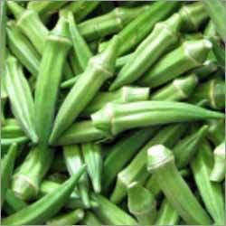 Ladys-Finger - 8-10cm Length, Green, Fresh | Nutritious, Antioxidant, Dietary Fiber, Weight Management