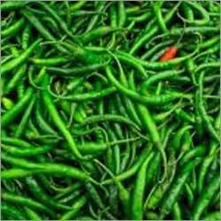 Green-Chili - Long & Slender Shape, Variable Size, Green | Fresh, Healthy, Pesticide-Free, Hygienically Stored