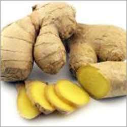 Ginger Root Spice - 5-15cm, Beige, 8-12% Moisture Content | Culinary Spice, Medicinal Uses, Bulk Packaging