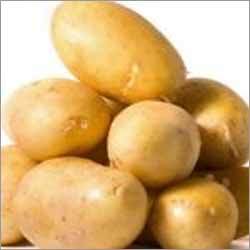 Potatoes - Beige Russet Variety, Oval Shape, Variable Size | Fresh Produce, Nutrient-Rich, Versatile Use, Firm Texture