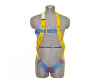Full Body Harness Gender: Male