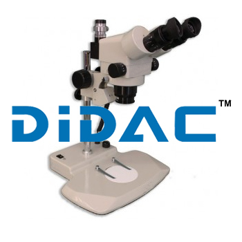 Trinocular Microsurgical System for microscope