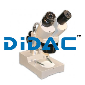 Binocular Entry Level Microscope By DIDAC INTERNATIONAL