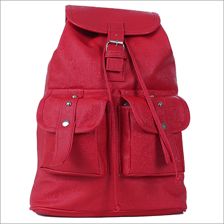 Trendy Backpack Bags Capacity: 3.5 Liter (L)