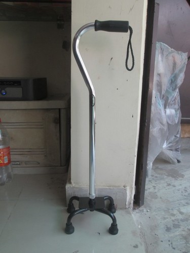 WALKING STICK