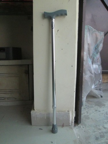 WALKING STICK 1