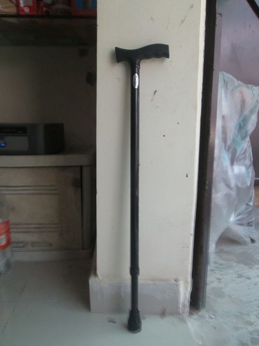 WALKING STICK 2