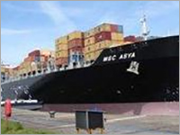 Foreign Courier Services