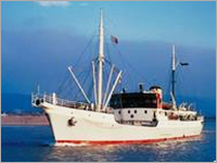 Sea Freight Solution