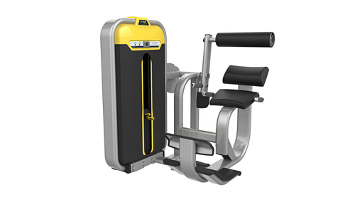Back Extension Fitness Equipment