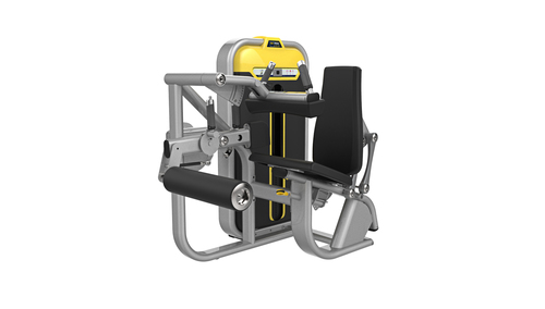 Seated Leg Curl