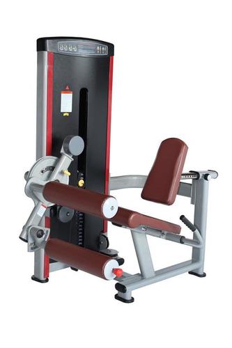 Leg Extension & Curl Machine