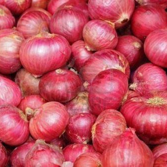 Nasik Red Onion