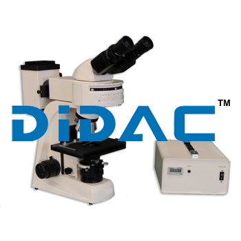 Epi Fluorescence Biological Microscope MT6200H