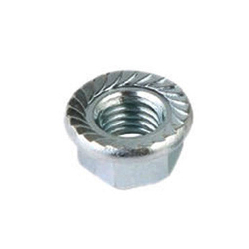 Hexagon Flange Nut