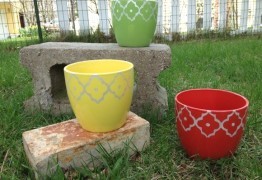 Designer Pots