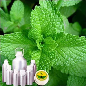 Bergamot Mint Oil