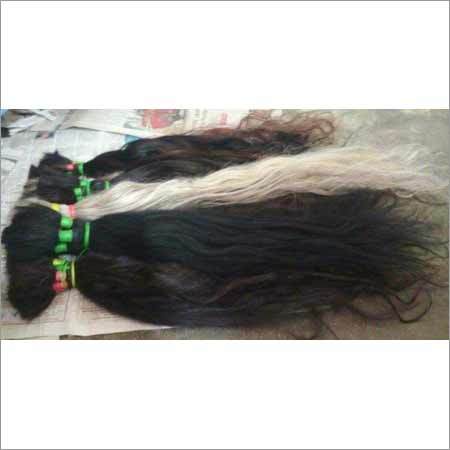 Human Hair