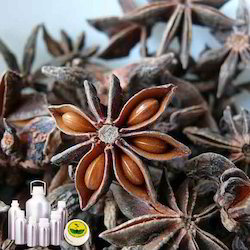 Aniseed Oil Aniseed Oil