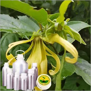 Cananga Oil Cananga Oil