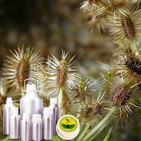 Carrot Seed Oil - Pure Daucus Carota Extract | Nourishing, Moisturizing, Rich In Nutrients For Skin Care