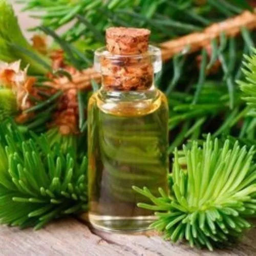 Cedar Leaf Oil