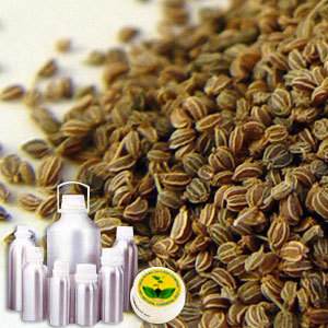 Celery Seed Oil By INDIA AROMA OILS AND COMPANY