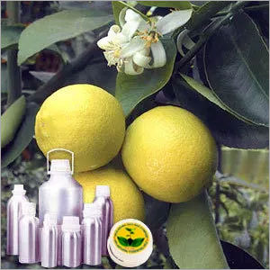 Citrus Oil