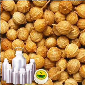 Coriander Seed Oil