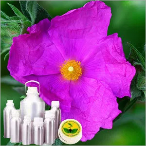 Cistus Oil Cistus Oil